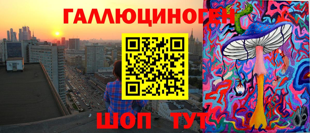 Галлюциногенные грибы прущие грибы Камень-на-Оби