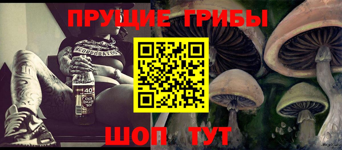 Галлюциногенные грибы GOLDEN TEACHER  Псилоцибиновые грибы Magic Shrooms  купить закладку  Камень-на-Оби  Вход с VPN 